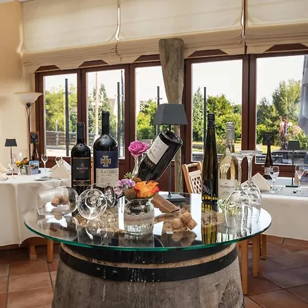 Am Kurhaus Mit Erstem Ayurveda Center Sachsens - Direkt Am Gesundheitsbad Actinon & Kurpark Hotel Aue-Bad Schlema