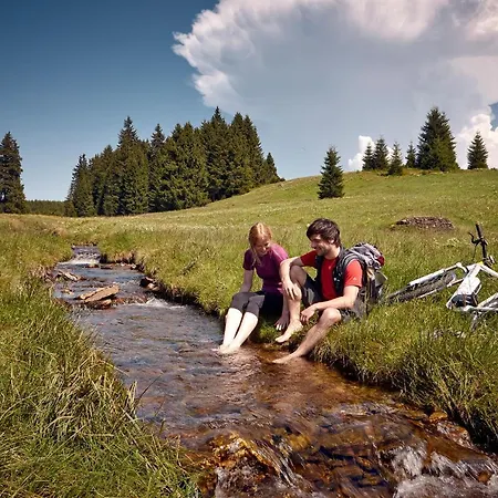 Am Kurhaus Mit Erstem Ayurveda Center Sachsens - Direkt Am Gesundheitsbad Actinon & Kurpark Hotel Aue-Bad Schlema