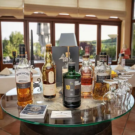 Hotel Am Kurhaus Mit Erstem Ayurveda Center Sachsens - Direkt Am Gesundheitsbad Actinon & Kurpark