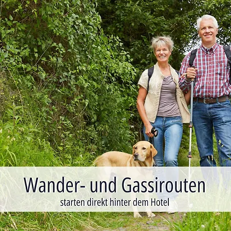 Hotel Am Kurhaus Mit Erstem Ayurveda Center Sachsens - Direkt Am Gesundheitsbad Actinon & Kurpark