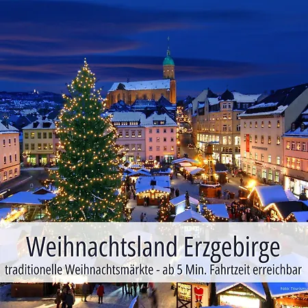 Am Kurhaus Mit Erstem Ayurveda Center Sachsens - Direkt Am Gesundheitsbad Actinon & Kurpark فندق 4*