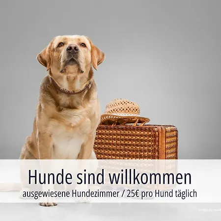 Am Kurhaus Mit Erstem Ayurveda Center Sachsens - Direkt Am Gesundheitsbad Actinon & Kurpark 4* Aue-Bad Schlema