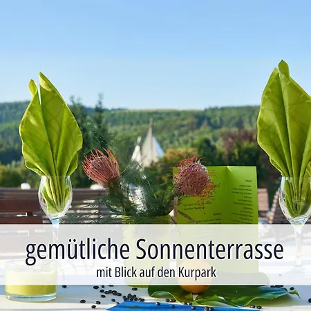 Hotel Am Kurhaus Mit Erstem Ayurveda Center Sachsens - Direkt Am Gesundheitsbad Actinon & Kurpark Aue-Bad Schlema