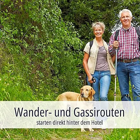 Am Kurhaus Mit Erstem Ayurveda Center Sachsens - Direkt Am Gesundheitsbad Actinon & Kurpark ホテル 4*