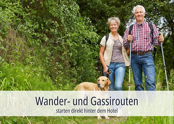 Otel Am Kurhaus Mit Erstem Ayurveda Center Sachsens - Direkt Am Gesundheitsbad Actinon & Kurpark