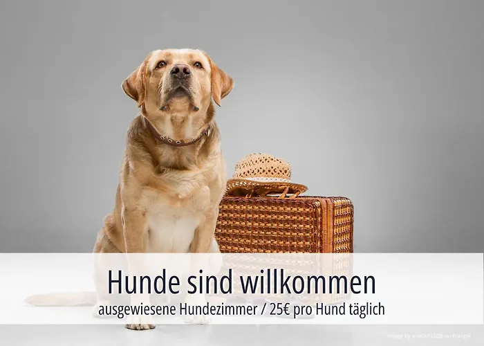 Am Kurhaus 4* Aue-Bad Schlema